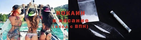 хмурый Аркадак