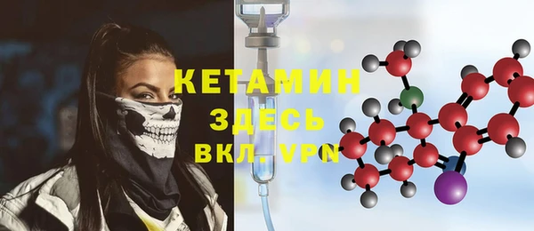 хмурый Аркадак