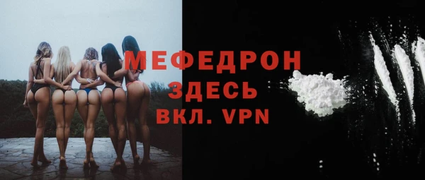 хмурый Аркадак