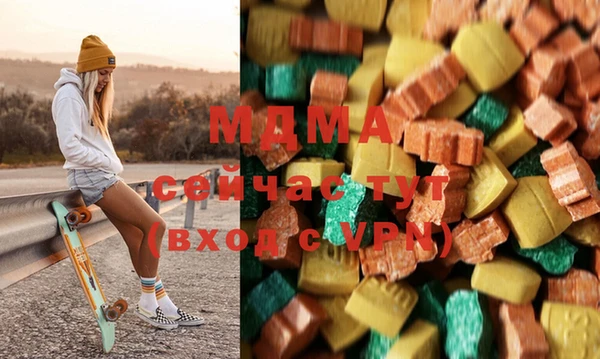 хмурый Аркадак