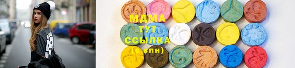 хмурый Аркадак