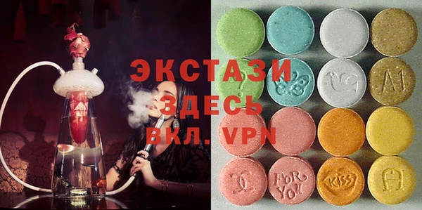 хмурый Аркадак