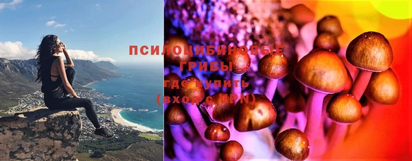 хмурый Аркадак
