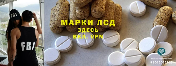 хмурый Аркадак