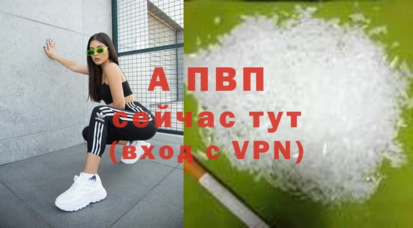 экстази Арсеньев
