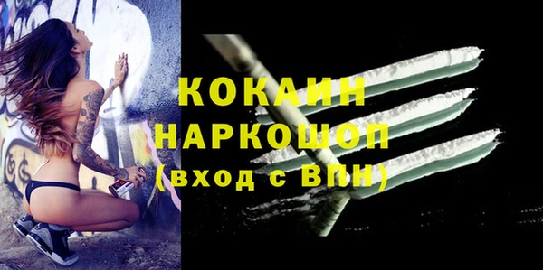 хмурый Аркадак