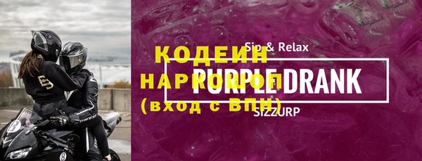 хмурый Аркадак