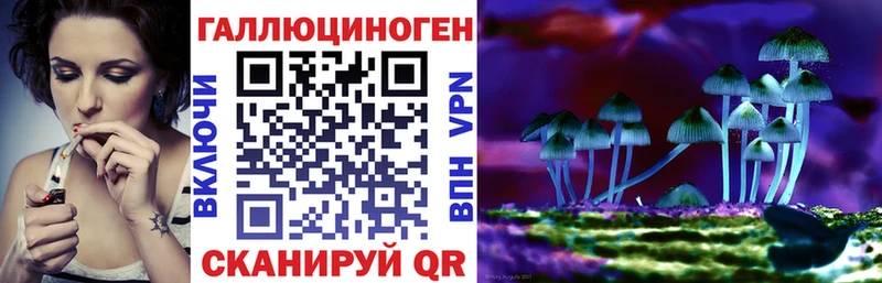 магазин  наркотиков  Гдов  Галлюциногенные грибы GOLDEN TEACHER 